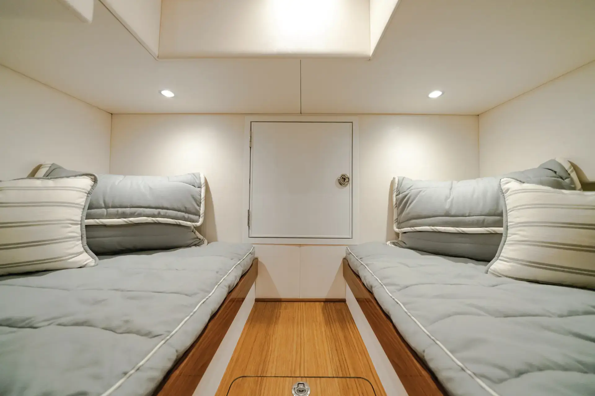 V Series V55 - Image 3